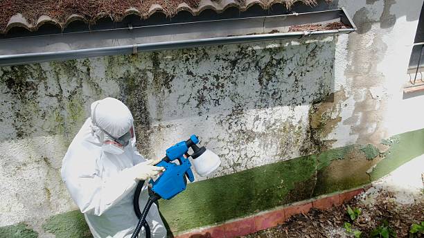 Mold Remediation service in Hughesville, Hughesville, PA
